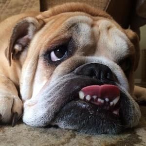 Meet your Posher, Rhonda